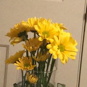 Meet your Posher, Bobbi